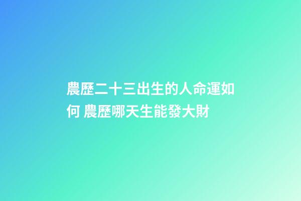 農歷二十三出生的人命運如何 農歷哪天生能發大財-第1張-觀點-玄機派